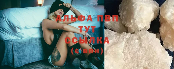 шишки Губаха