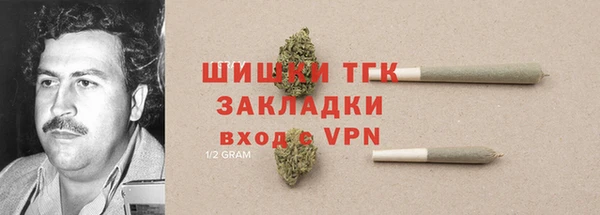 стафф Касимов