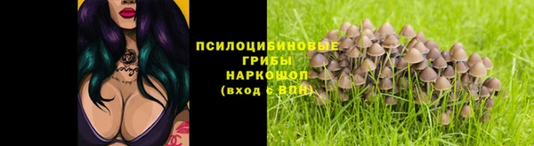 дурь Ступино