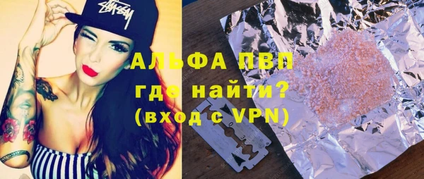 стафф Касимов