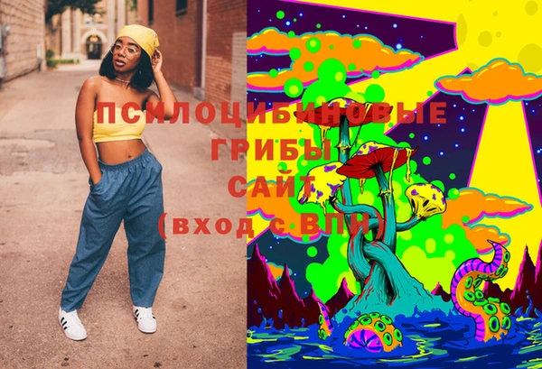 дурь Ступино