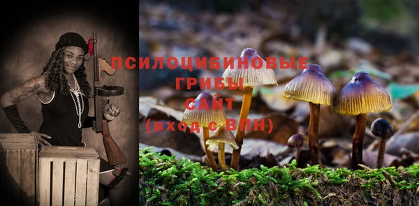 герыч Струнино
