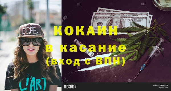 стафф Касимов