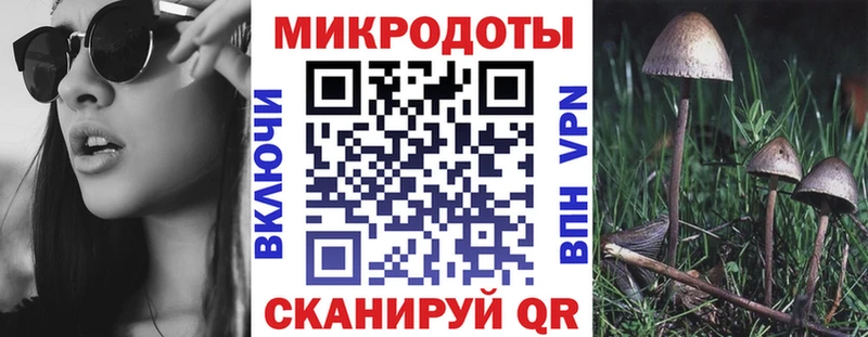 Галлюциногенные грибы мухоморы  MEGA зеркало  Кузнецк 